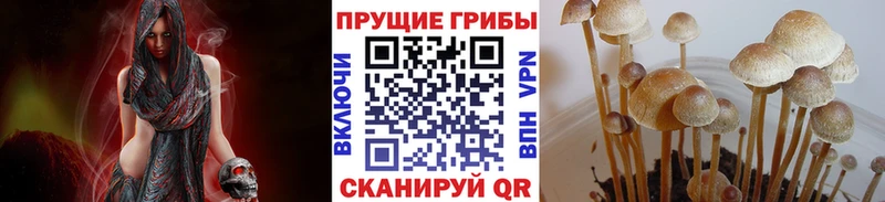 Купить где  Кулебаки  Галлюциногенные грибы MAGIC MUSHROOMS 
